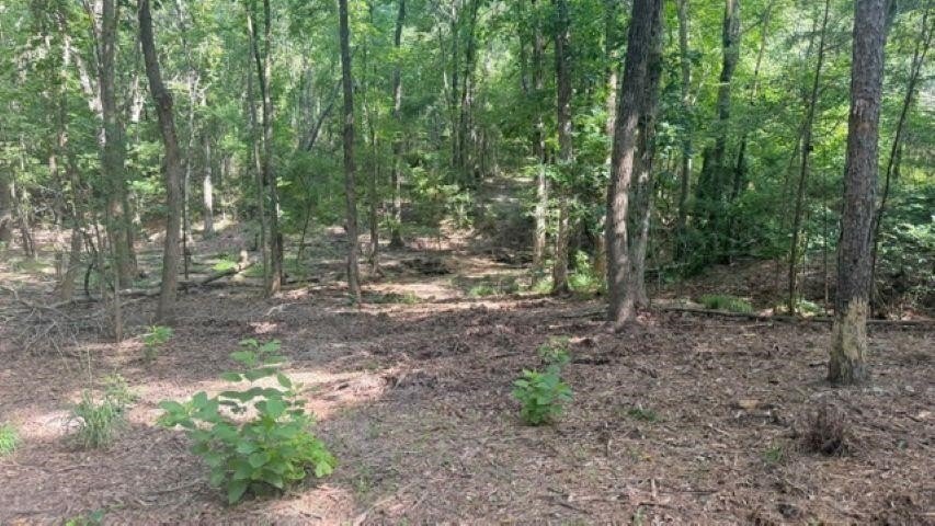 Picture 8