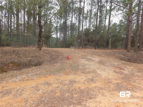Partially Wooded Recreational Land Tract