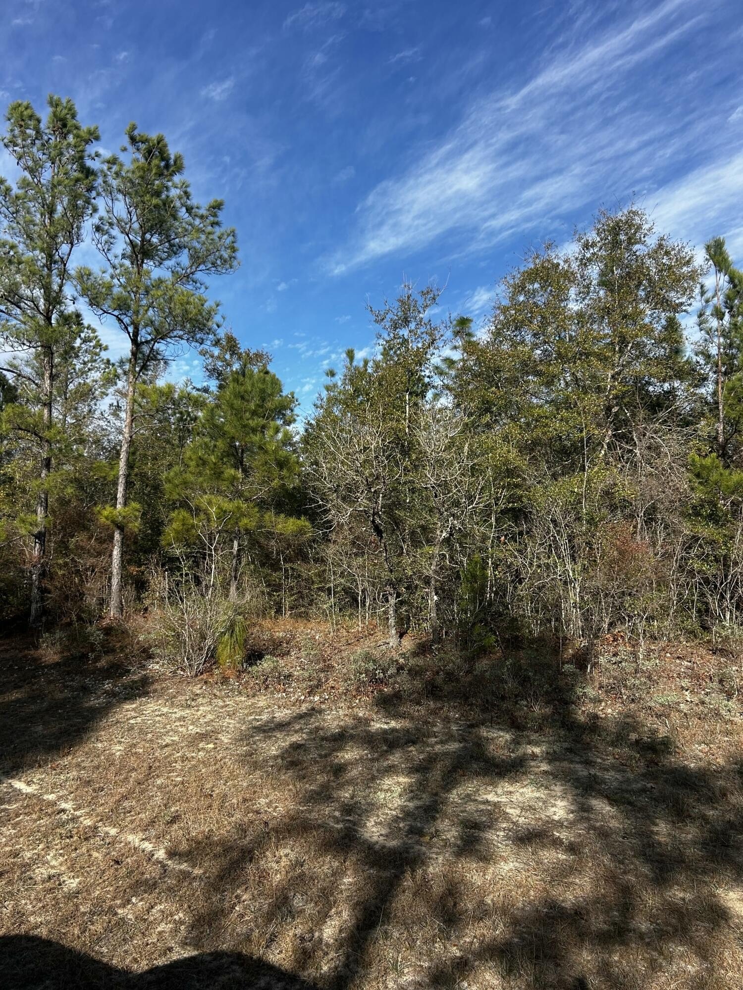 Buildable Lot in Sunny Hills