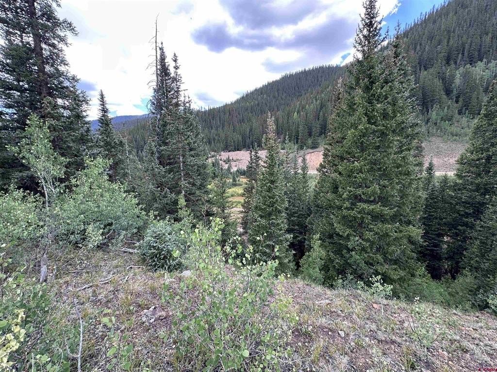 Picture 2