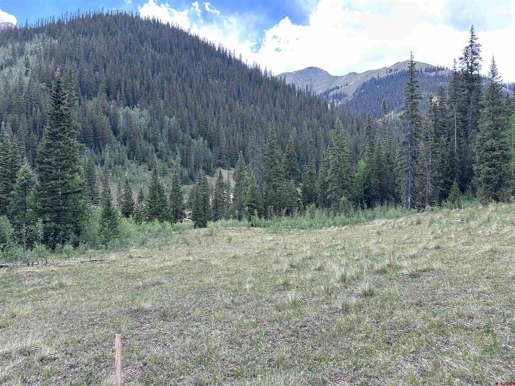 Picture 3