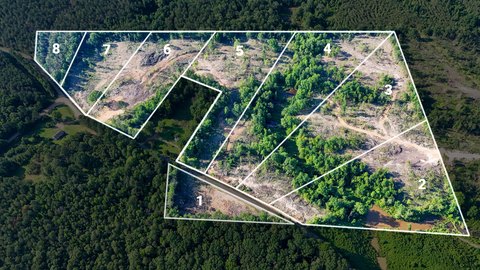 Land, Mantee, MS