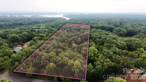 Wooded Lake-Access Acreage