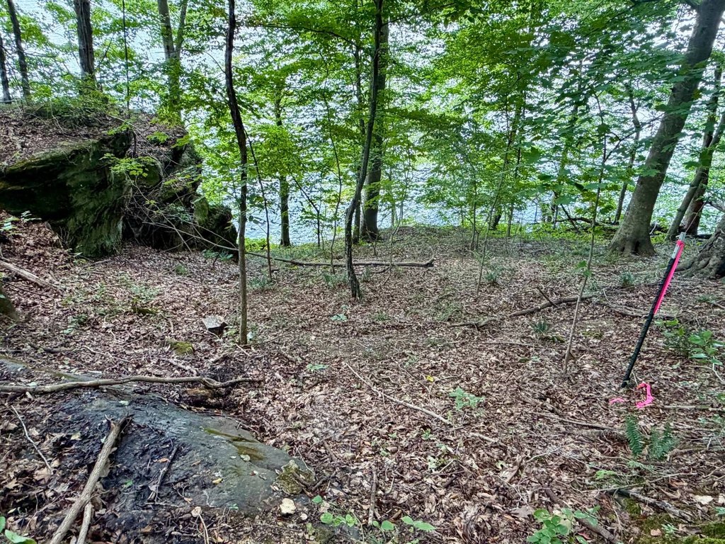 Picture 33