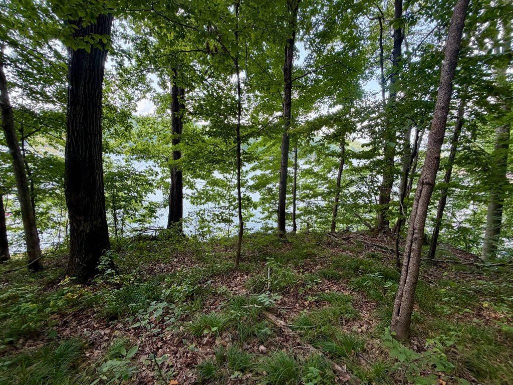 Picture 28