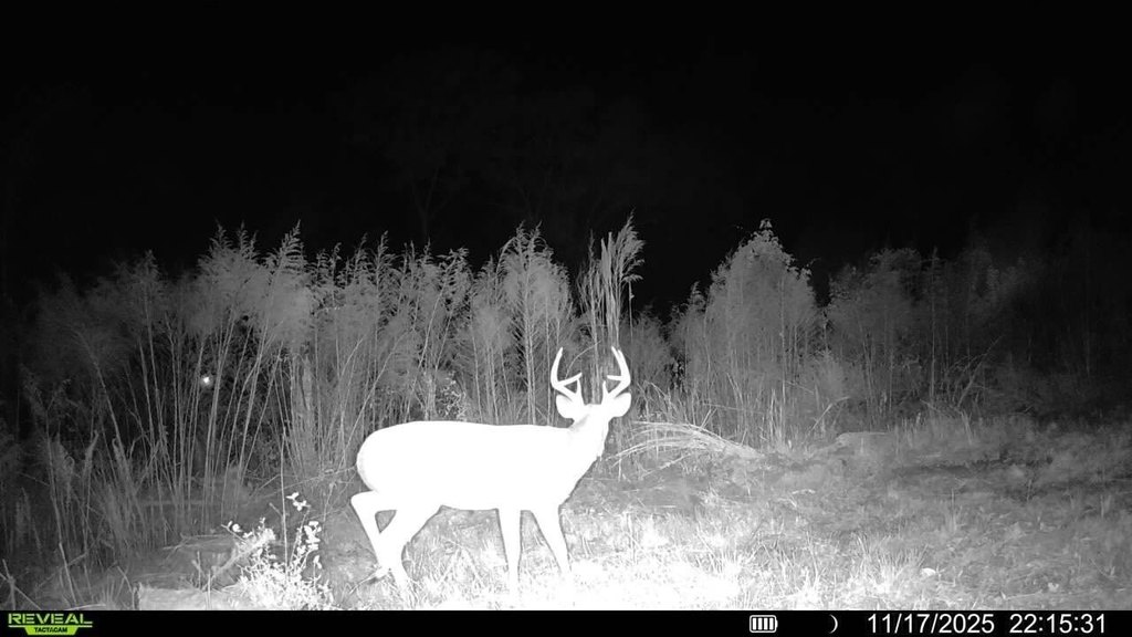 Picture 2