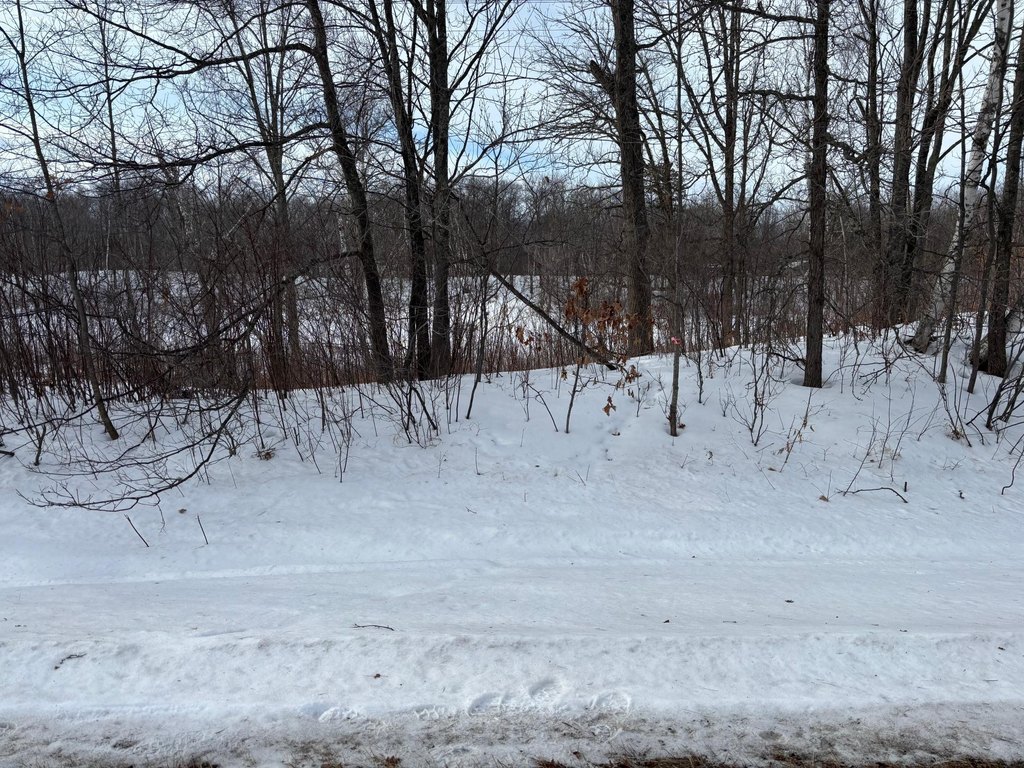 Picture 8
