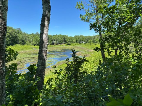 Waterfront Recreational Land Parcel