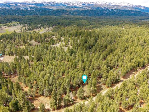 Cascade, ID Wooded Lot