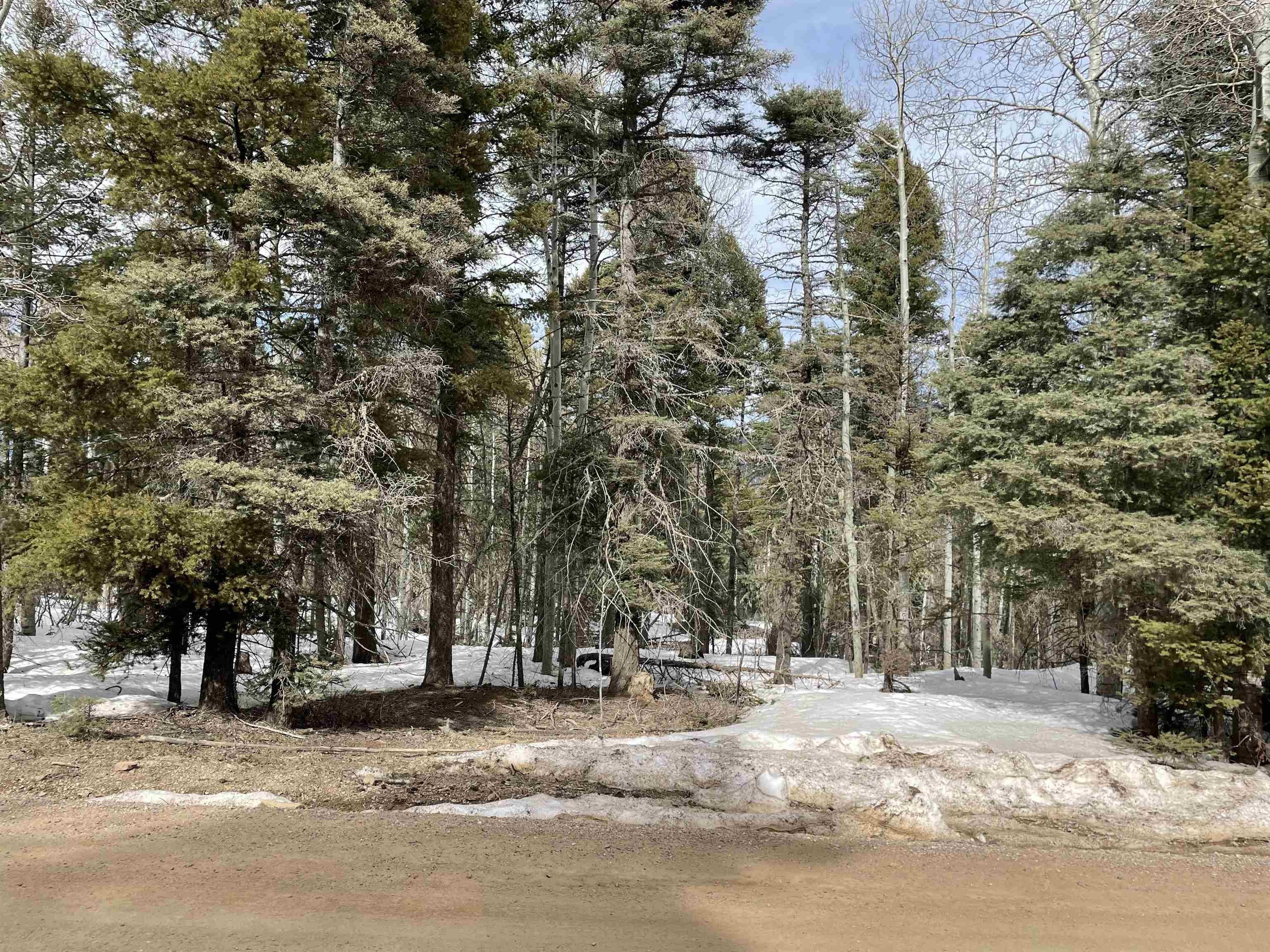 Land with Expansive Mountain Views