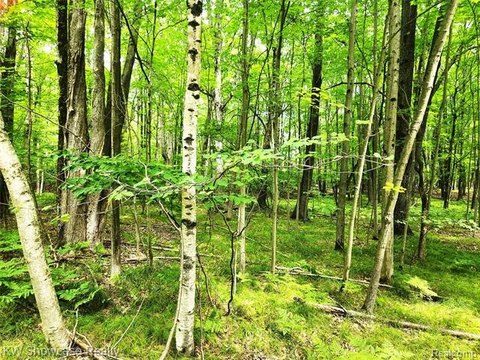 Recreational Land in Gated Community