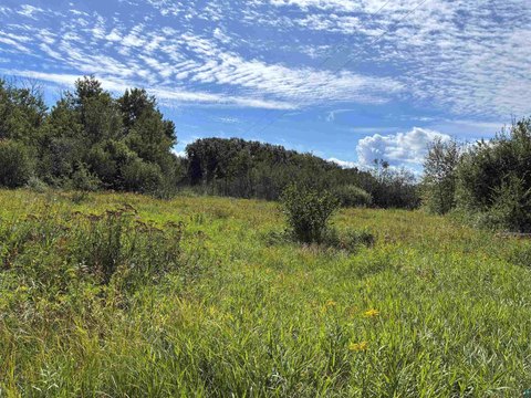 LOT/LAND, Saginaw, MN