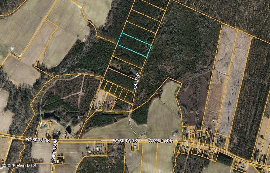 Undeveloped Wooded Land For Sale