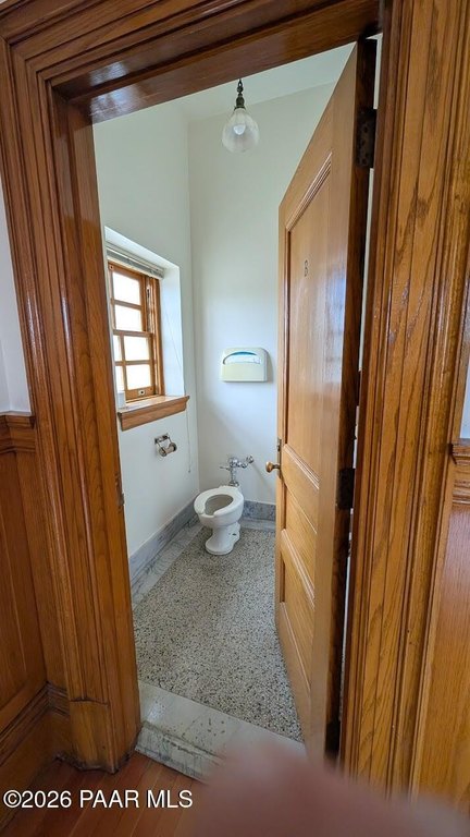 Picture 8
