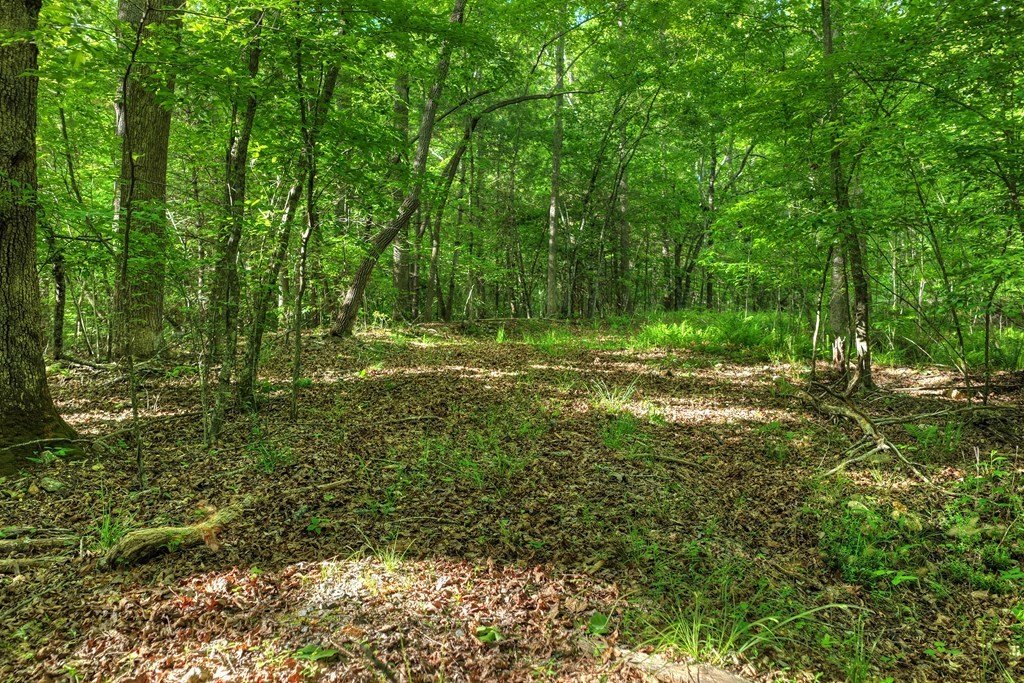 Picture 25