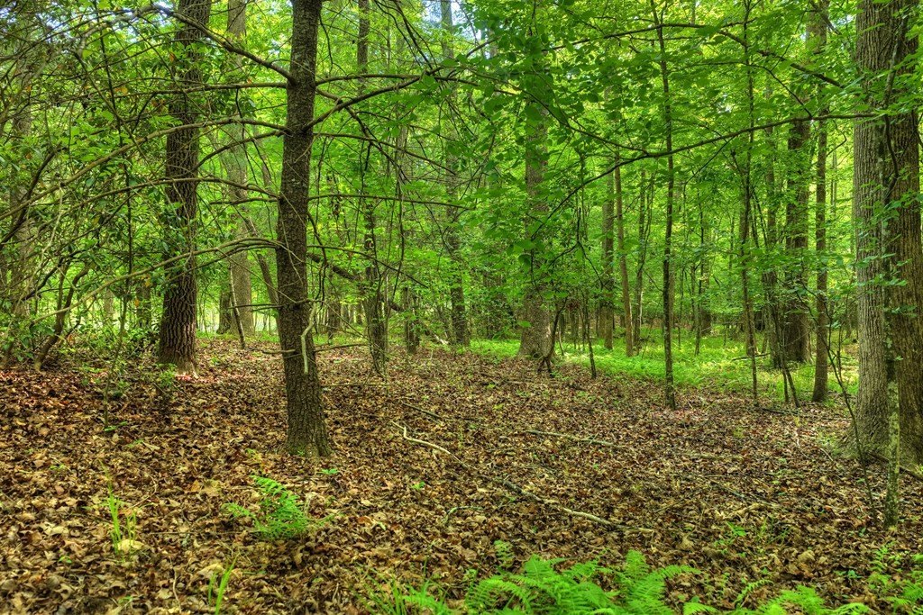 Picture 41