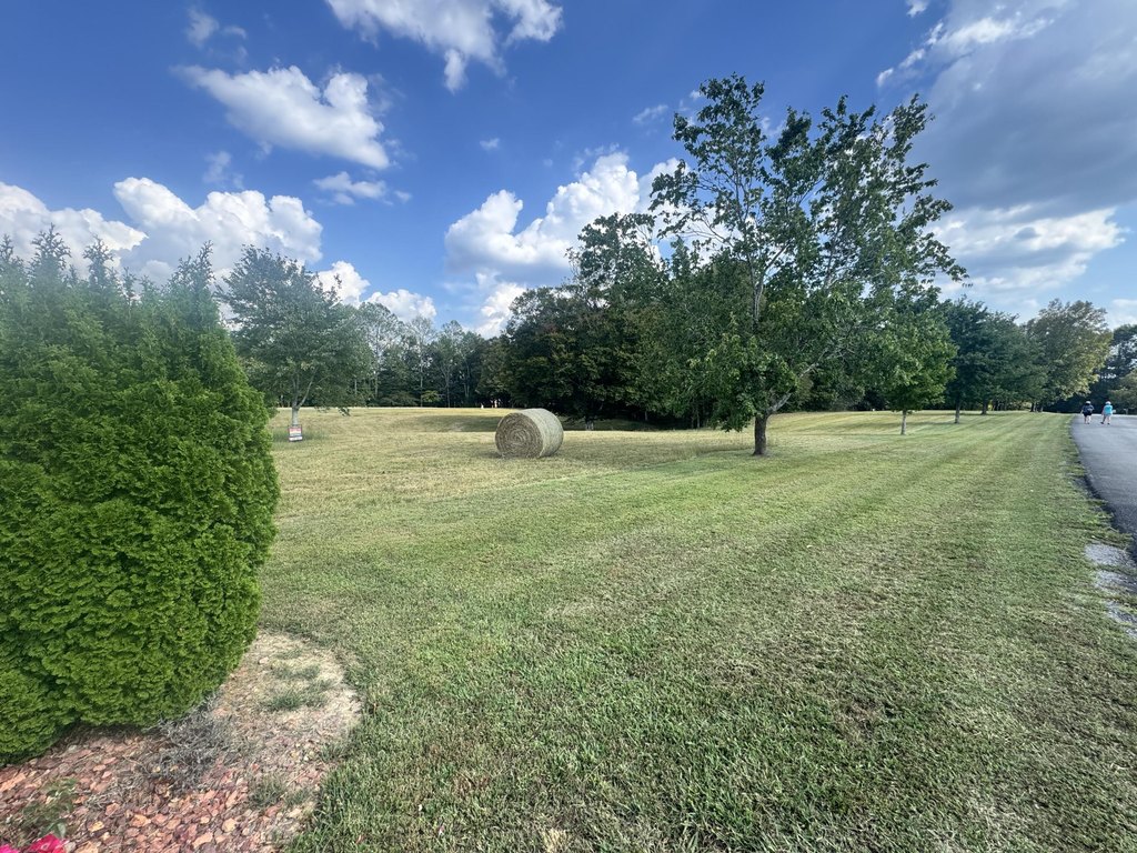 Picture 18