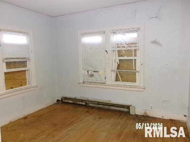 Picture 11