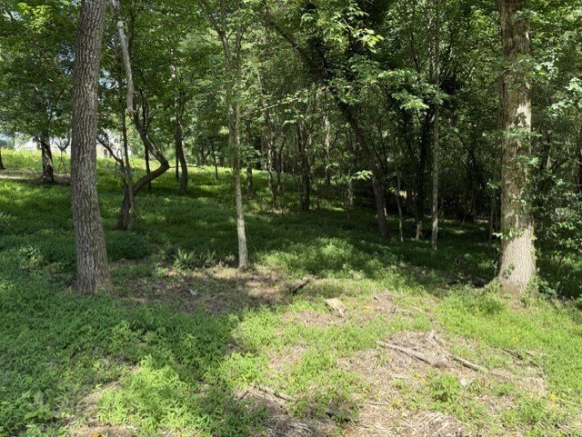 Picture 10