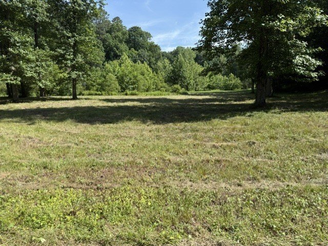 Picture 4