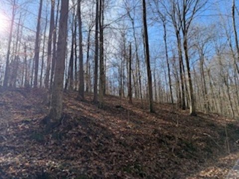 Wooded Hunting Land with Food Plots