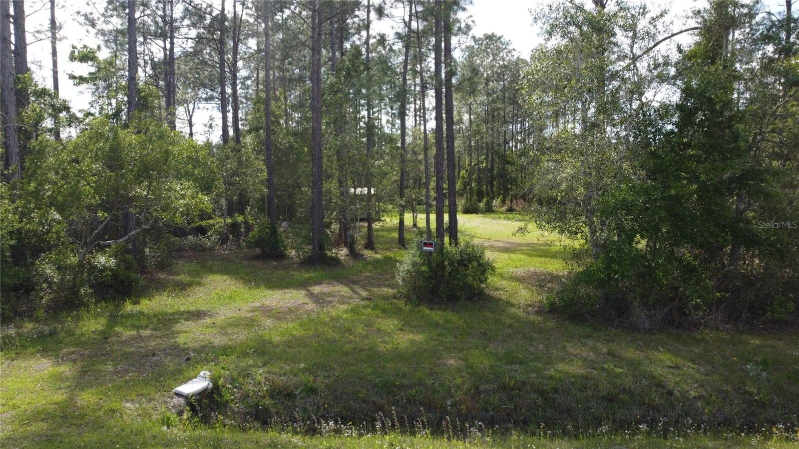Ready-to-Build Land Parcel in Hastings