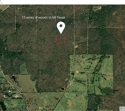 Wooded Recreation Land with Road Frontage