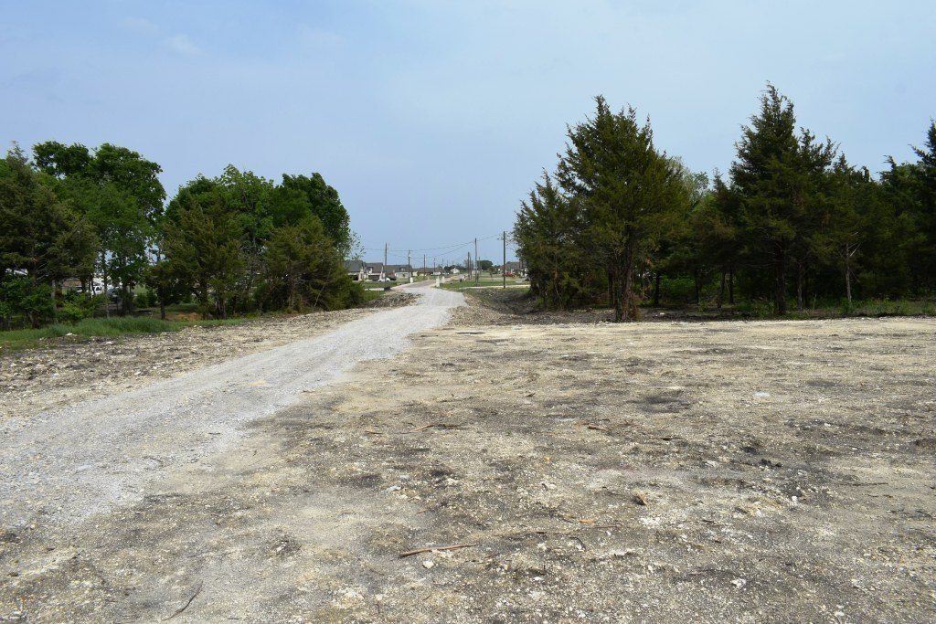 Picture 16