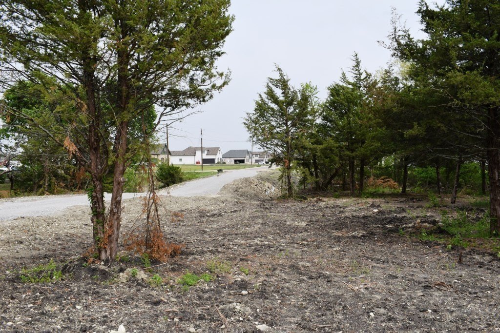 Picture 8