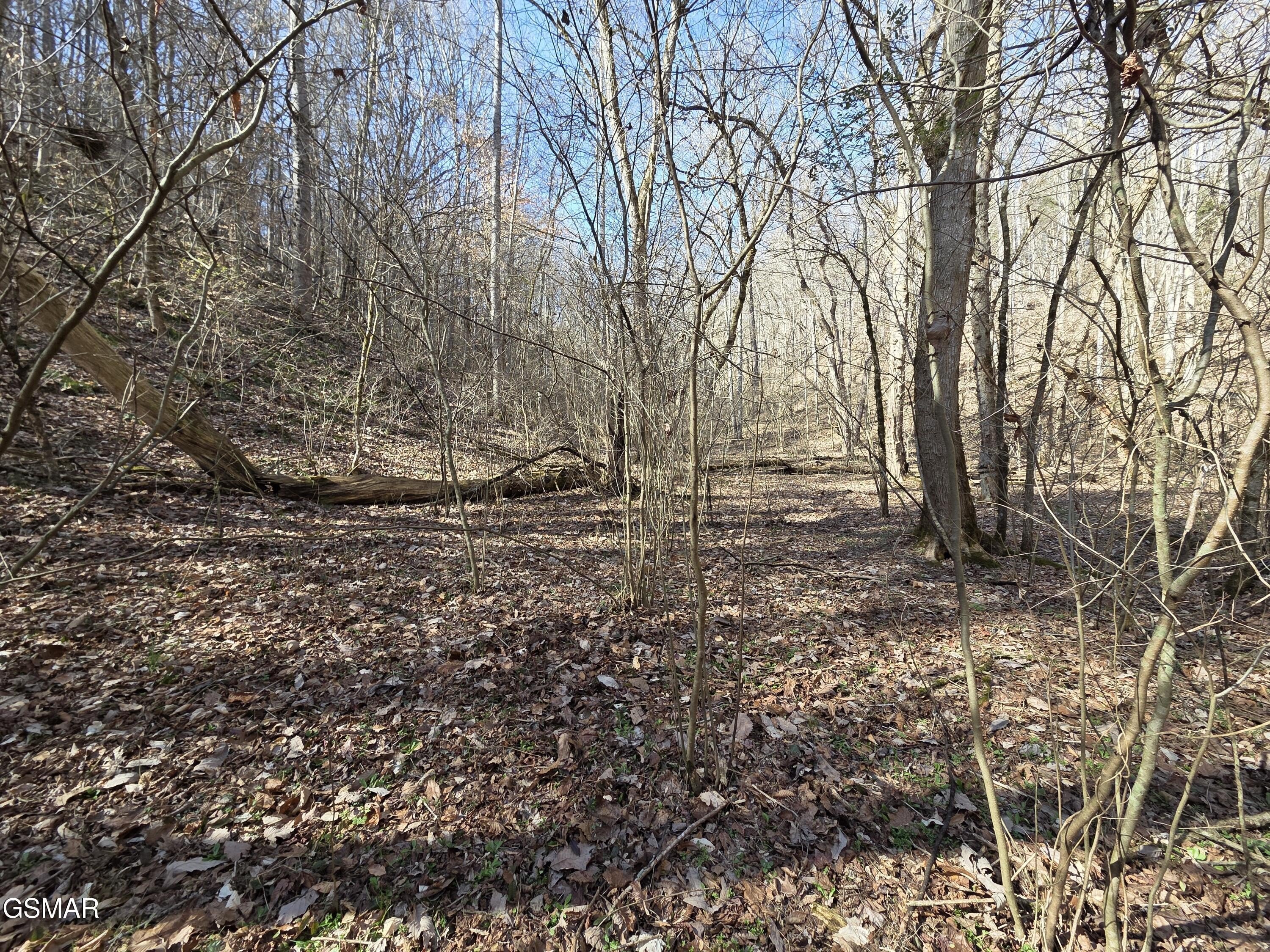 Secluded Wooded Land with Stream