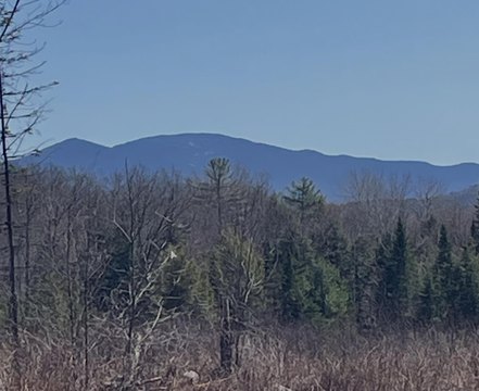 LAND - Lisbon, NH