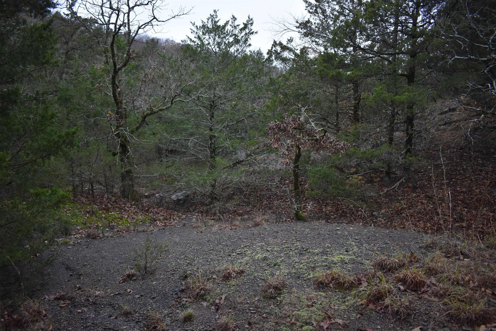 Picture 38