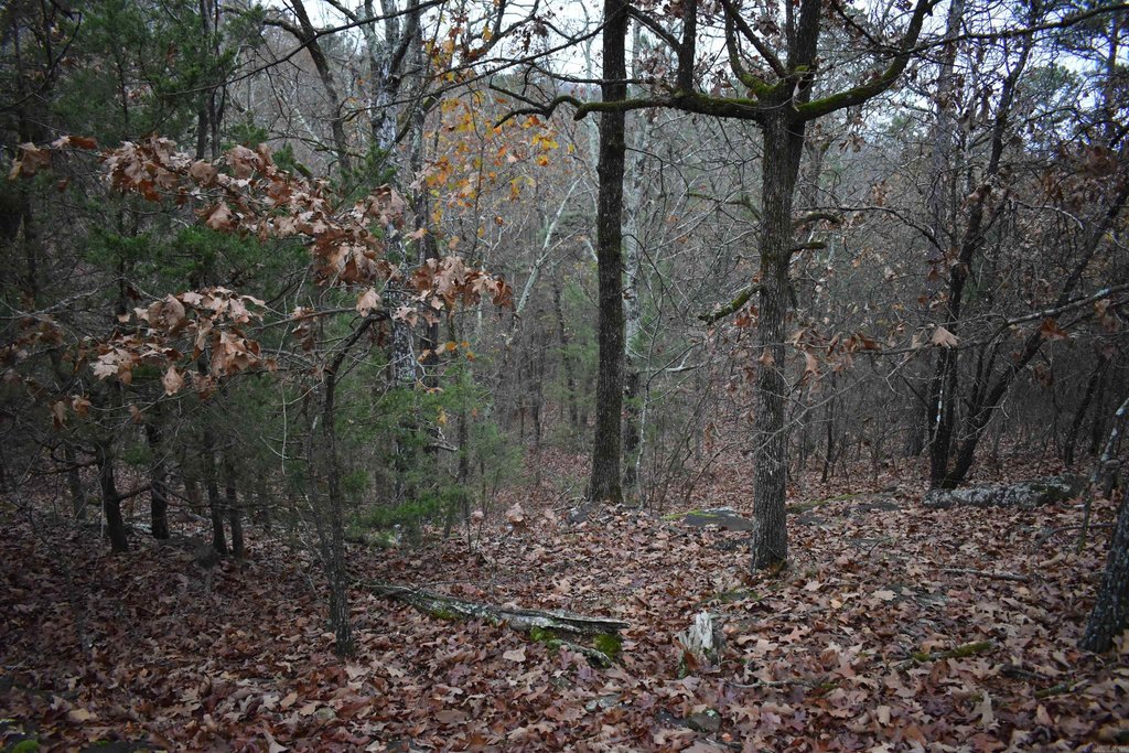 Picture 33