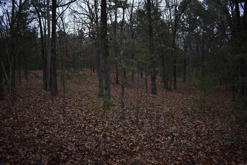 Picture 42