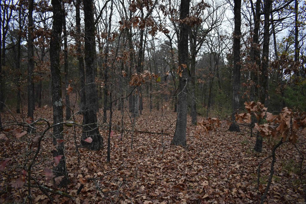 Picture 41