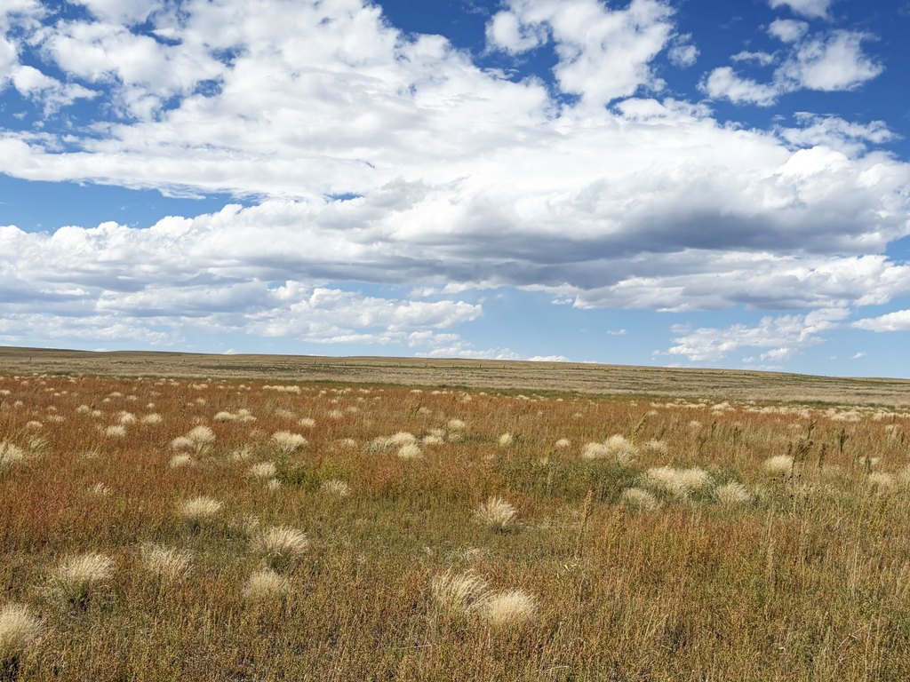 Picture 8