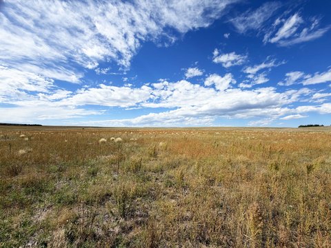 Land, Bushnell, NE