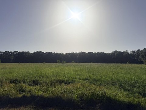 Lots/Land, Picayune, MS