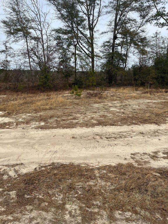 Picture 5