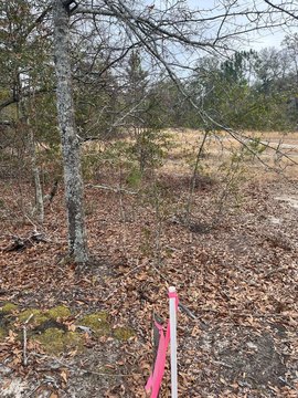 LAND - Salley, SC
