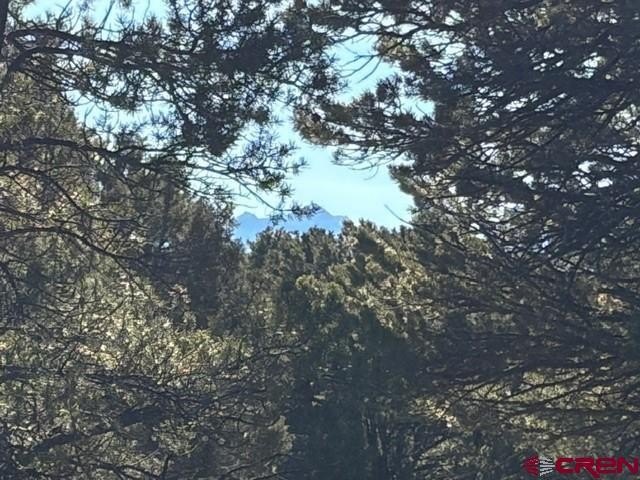 Picture 17