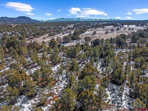 Montrose, CO Land For Sale