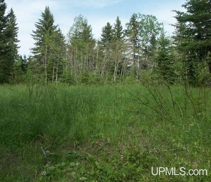 Brule River Waterfront Land