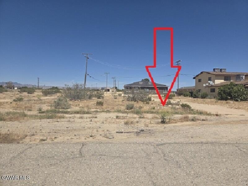Picture 5