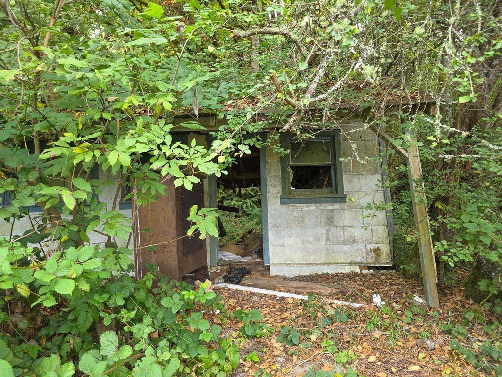 Picture 5