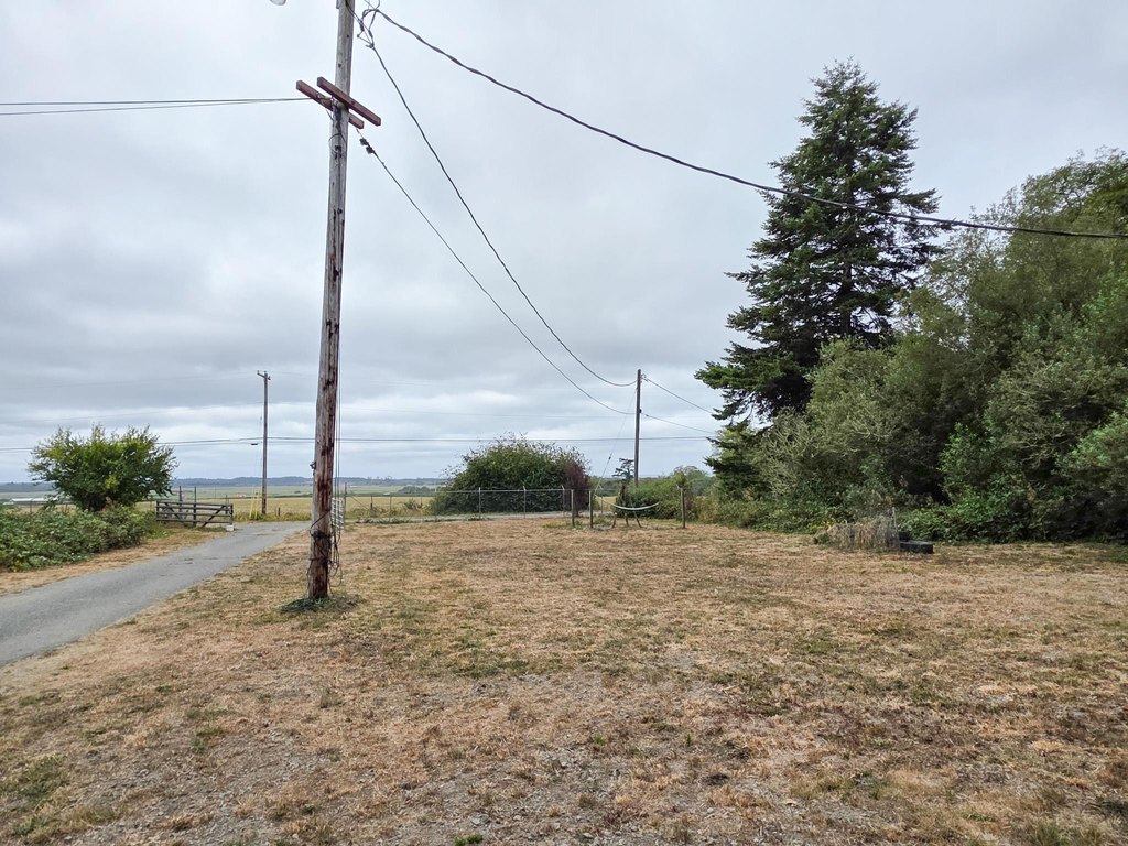 Picture 15