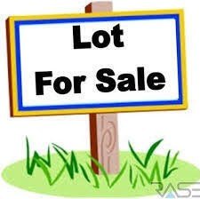 Buildable Lot in Lake Dalecarlia