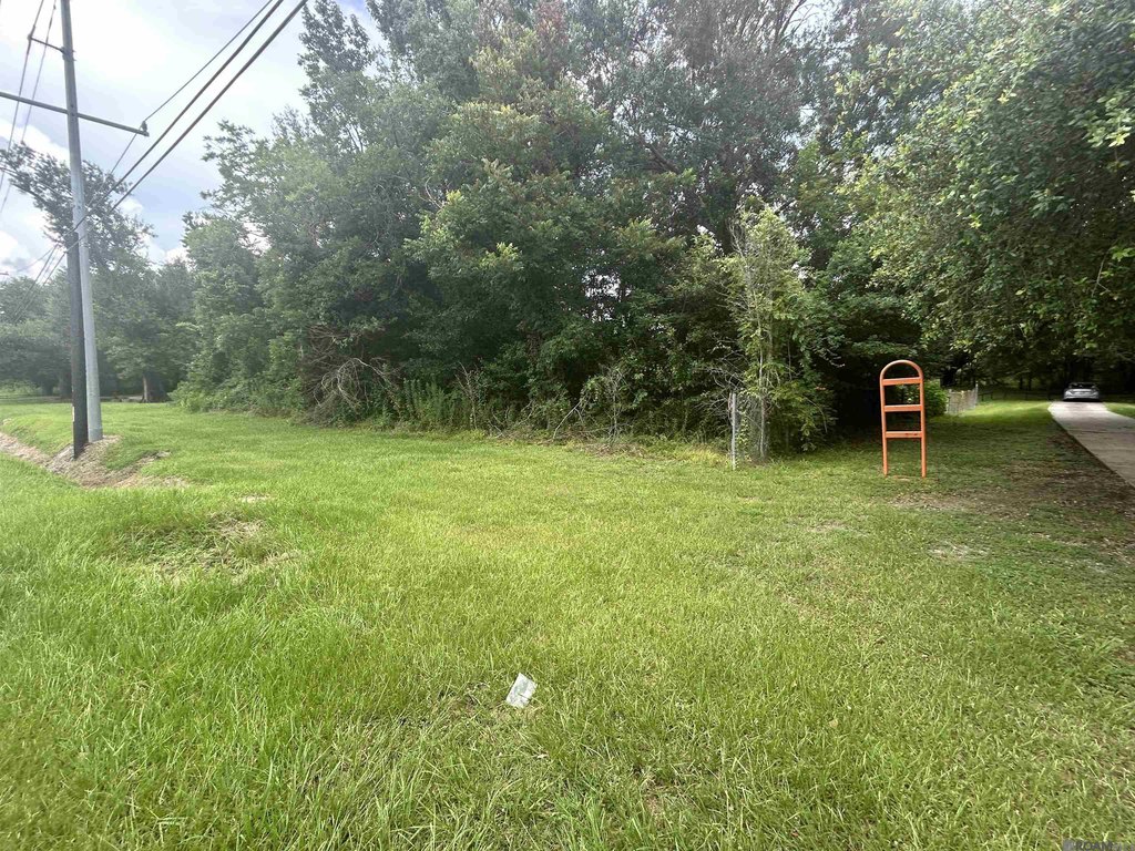 Picture 4