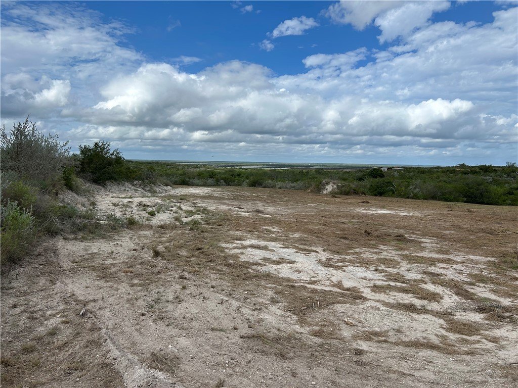 Picture 6