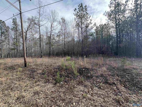 Residential Land in Centre, AL